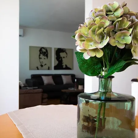 Spacious 3 Bedroom Chiara Near & Old Tovn Apartment *